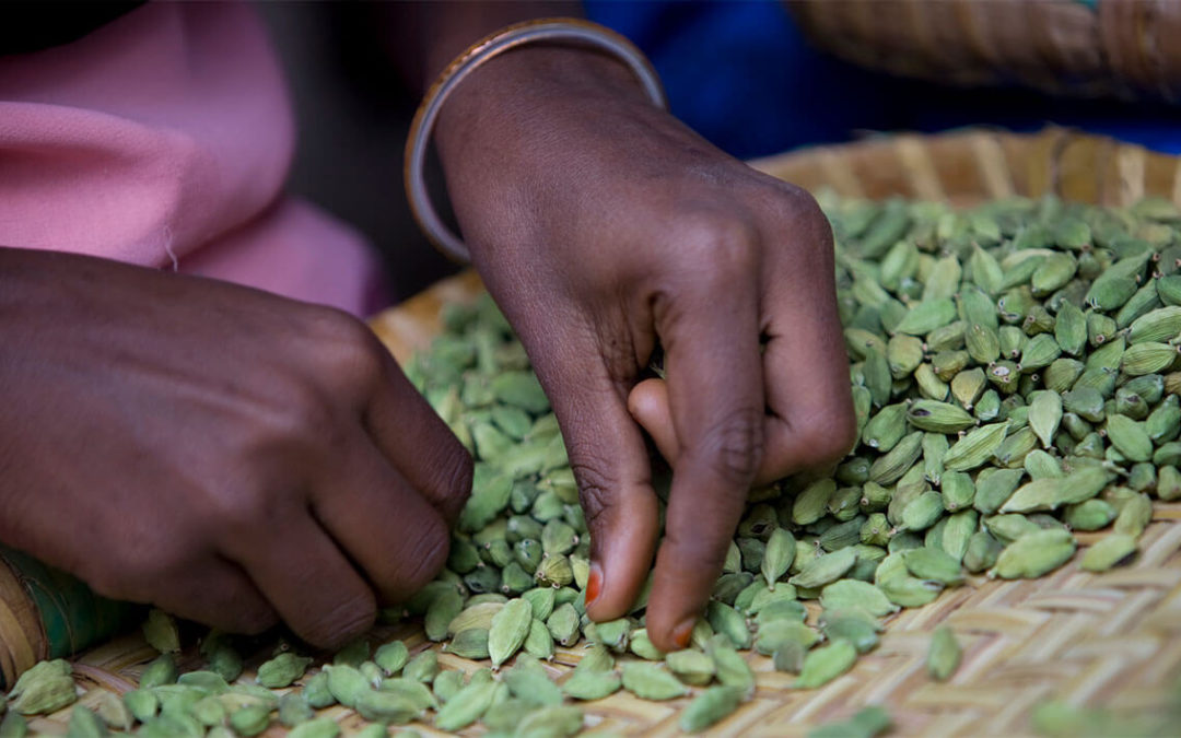 Why You Should Look for the Fairtrade Mark when Shopping for Products